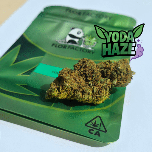 Finest Selection – Panda Yoda Haze – Image 4