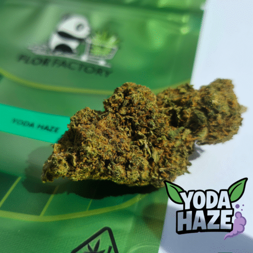 Finest Selection – Panda Yoda Haze – Image 3