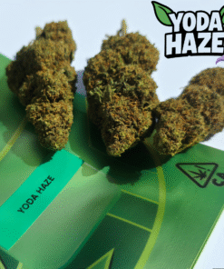 Finest Selection – Panda Yoda Haze