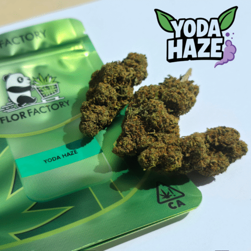 Finest Selection – Panda Yoda Haze – Image 2