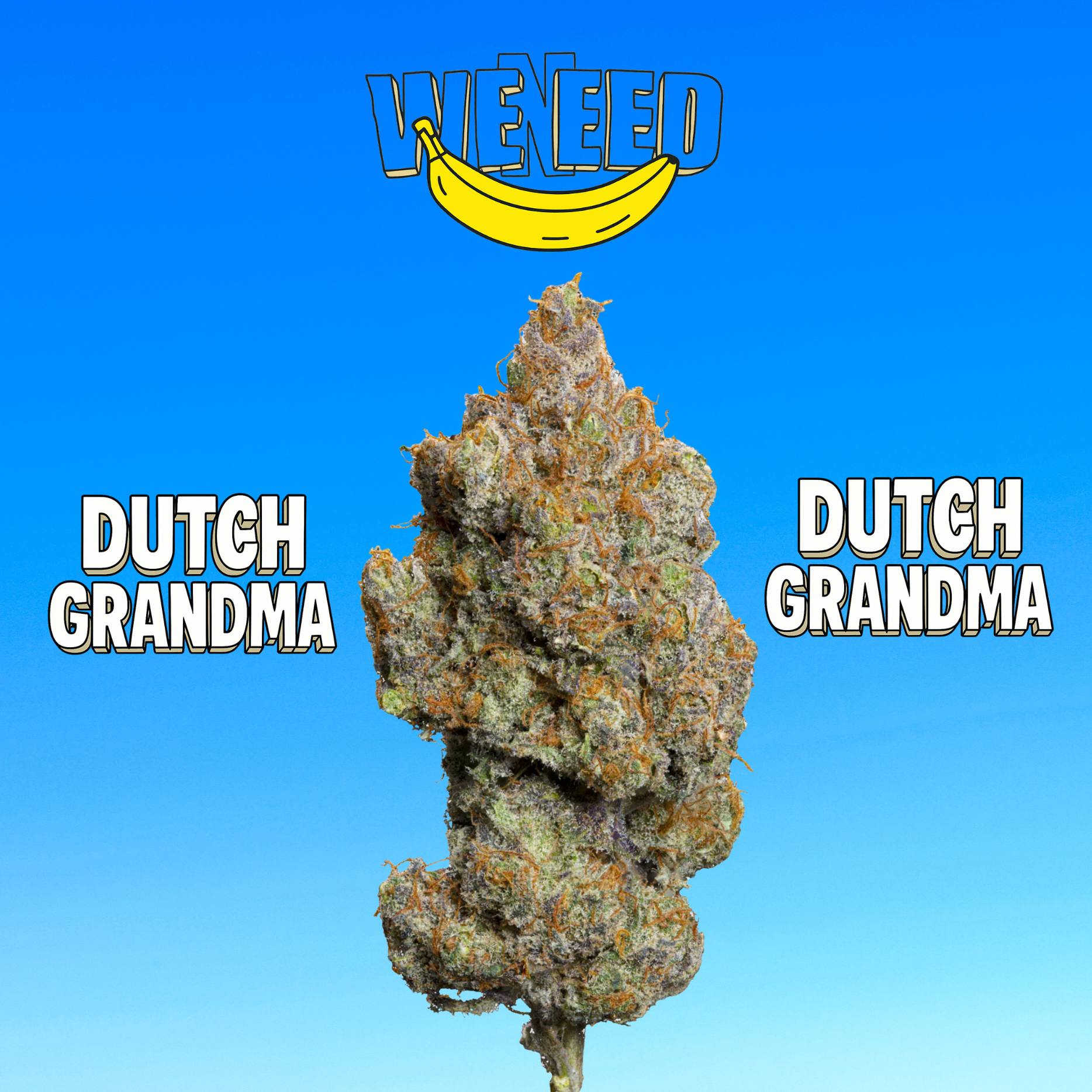 🇮🇹Weneed - Dutch Grandma