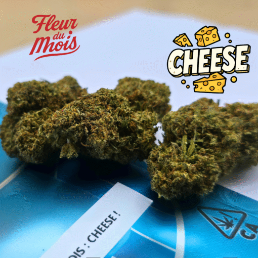 ⏱️Fleurs du Mois – Panda Cheese🧀 – Image 2