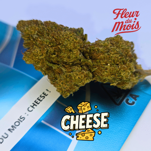 ⏱️Fleurs du Mois – Panda Cheese🧀 – Image 4