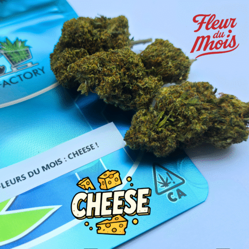 ⏱️Fleurs du Mois – Panda Cheese🧀 – Image 3
