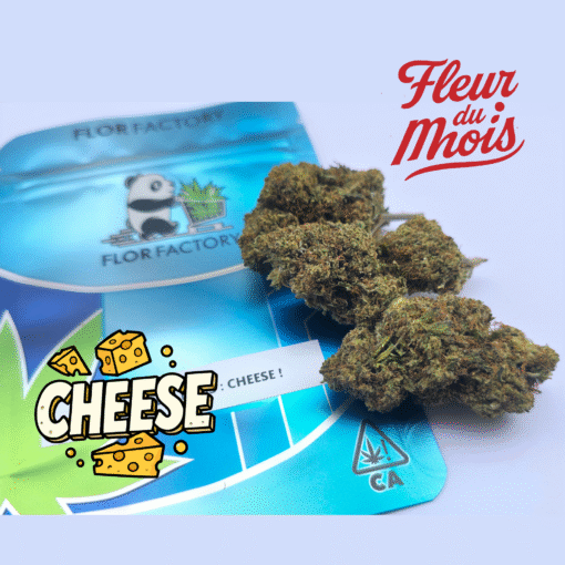 ⏱️Fleurs du Mois – Panda Cheese🧀