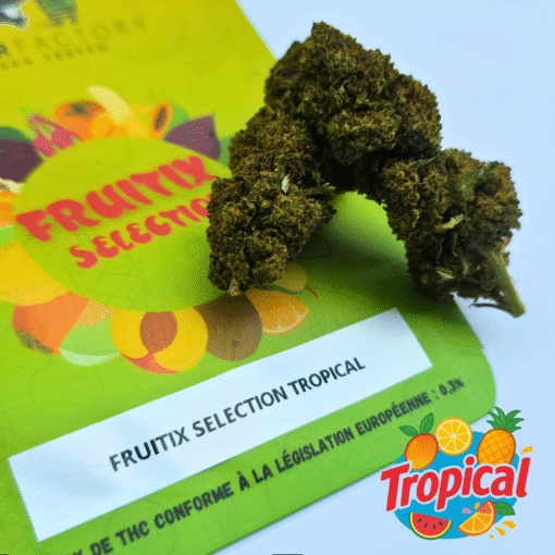🥝Fruitix Selection – Tropical🥭 – Image 2
