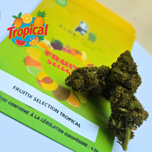 🥝Fruitix Selection – Tropical🥭 – Image 3