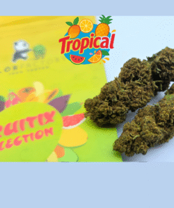 🥝Fruitix Selection – Tropical🥭 - 1g (6,00€/g)