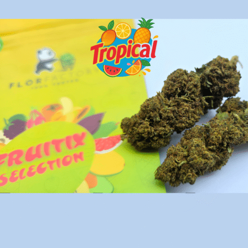 🥝Fruitix Selection – Tropical🥭