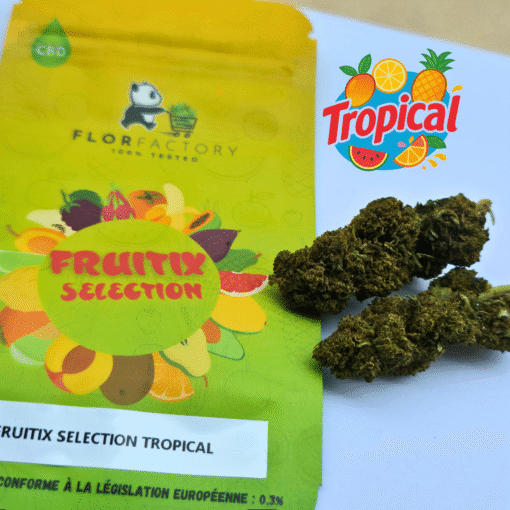 🥝Fruitix Selection – Tropical🥭 – Image 5