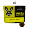 🇨🇭HASH BUNNIES – GOLDEN PIATTELLA