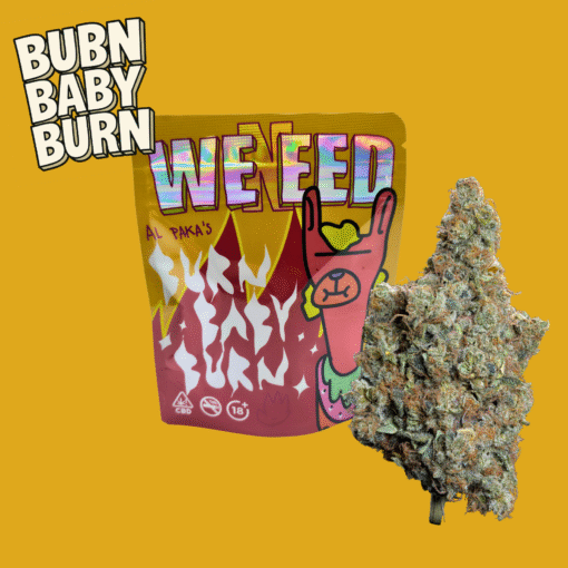 🇮🇹Weneed - Burn Baby Burn🔥