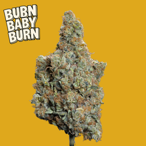 🇮🇹Weneed - Burn Baby Burn🔥 – Image 2