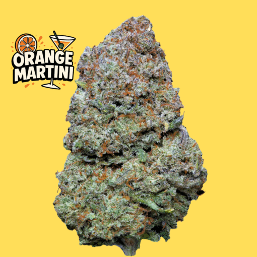 🇮🇹Weneed - Orange Martini🍊 – Image 2