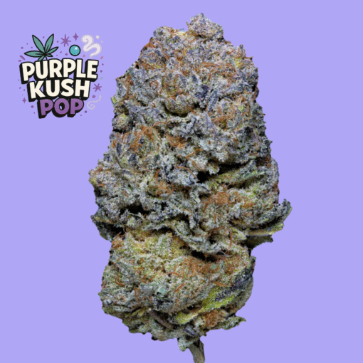 🇮🇹Weneed - Purple Kush Pop💜 – Image 2