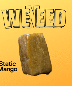 🇮🇹Weneed - Static Mango