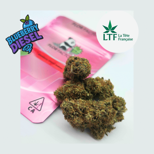 🇨🇵 LTF - Blueberry Diesel Indoor – Image 2