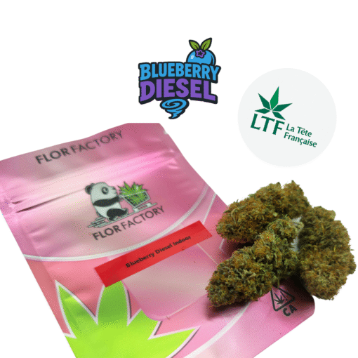 🇨🇵 LTF - Blueberry Diesel Indoor – Image 3