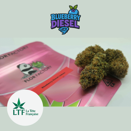 🇨🇵 LTF - Blueberry Diesel Indoor – Image 4