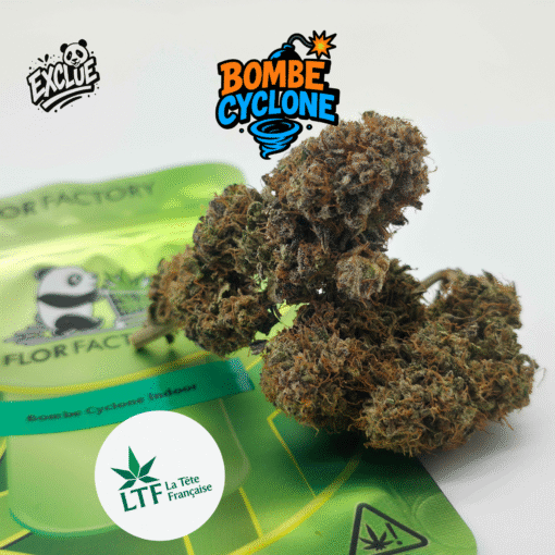 🇨🇵 LTF - Bombe Cyclone Indoor – Image 4