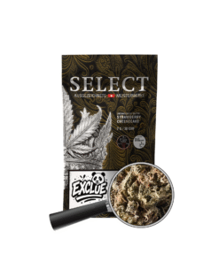 🇨🇭Herba Select - Strawberry Cheese Cake 7G