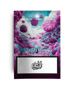 🇨🇭High Level Genetics - Plush Berry🫐
