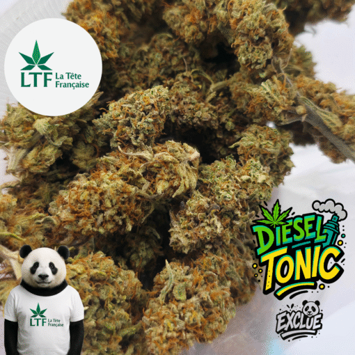 🇨🇵 LTF - Diesel Tonic Indoor – Image 2