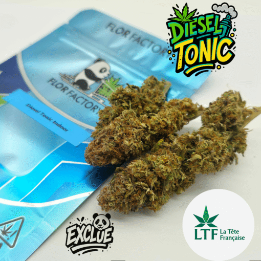 🇨🇵 LTF - Diesel Tonic Indoor – Image 3