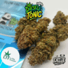 🇨🇵 LTF - Diesel Tonic Indoor
