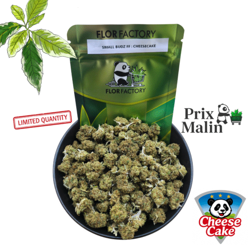🍿Small Budz - CheeseCake🧀