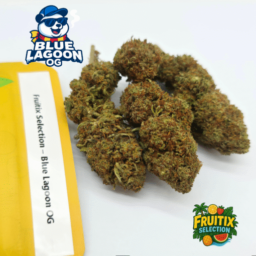 🥝Fruitix Selection – Blue Lagoon OG – Image 2