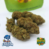 🥝Fruitix Selection – Blue Lagoon OG