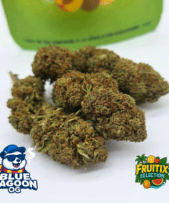 🥝Fruitix Selection – Blue Lagoon OG - 20g (3,00€/g)
