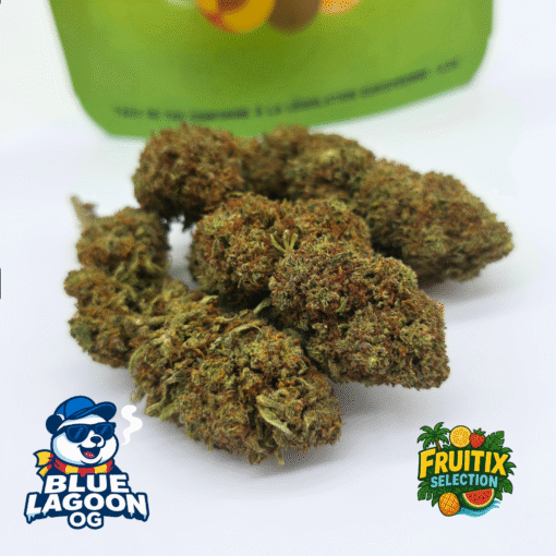 🥝Fruitix Selection – Blue Lagoon OG
