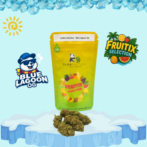 🥝Fruitix Selection – Blue Lagoon OG – Image 4