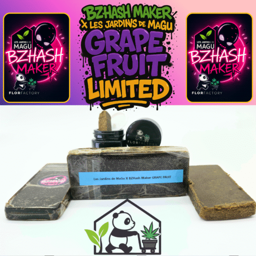 🇨🇵 BZHash Maker x Les Jardins de MaGu : Grape Fruit Limited🍇 – Image 2