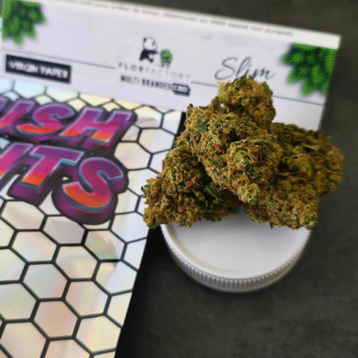 🇨🇭Paradise Weeds - Gush Mints - Indoor – Image 2