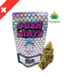 🇨🇭Paradise Weeds - Gush Mints - Indoor