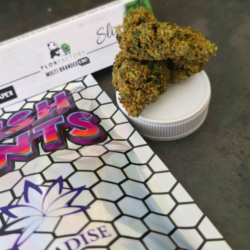 🇨🇭Paradise Weeds - Gush Mints - Indoor – Image 3