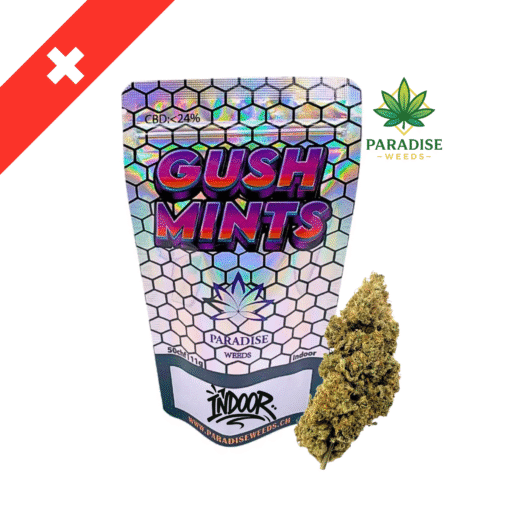 🇨🇭Paradise Weeds - Gush Mints - Indoor