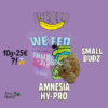 🇮🇹Weneed - Amnesia Hy-Pro Small
