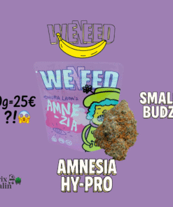 🇮🇹Weneed - Amnesia Hy-Pro Small