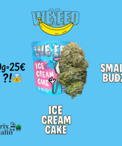 🇮🇹Weneed - Ice Cream Cake Small