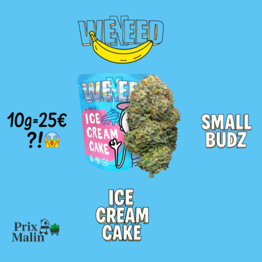 🇮🇹Weneed - Ice Cream Cake Small