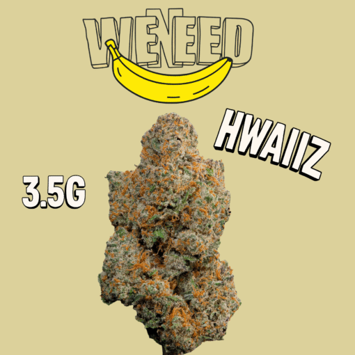 🇮🇹Weneed - Hwaiiz