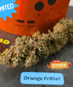 🇨🇵Les Jardins de Julien – Orange Fritter🍊