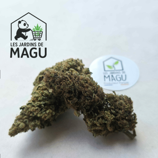 🇨🇵 Les Jardins de MaGu – Gelato Bio – Image 2