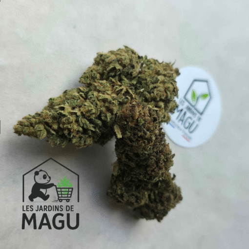 🇨🇵 Les Jardins de MaGu – Gelato Bio – Image 3