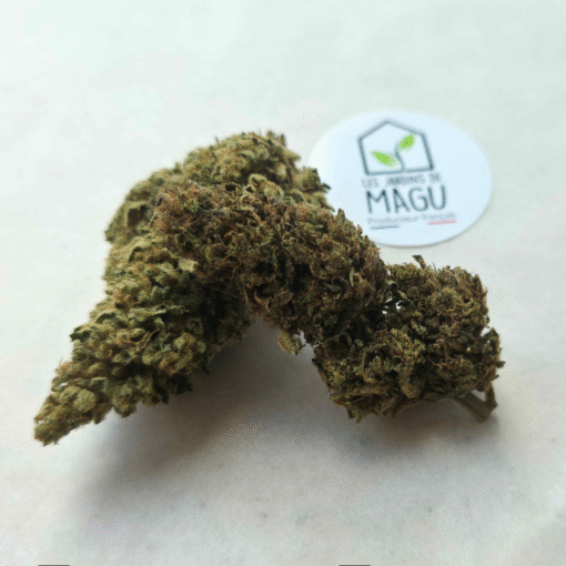 🇨🇵 Les Jardins de MaGu – Gelato Bio – Image 4