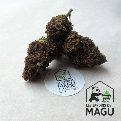 🇨🇵 Les Jardins de MaGu – Purple Bio – Image 2